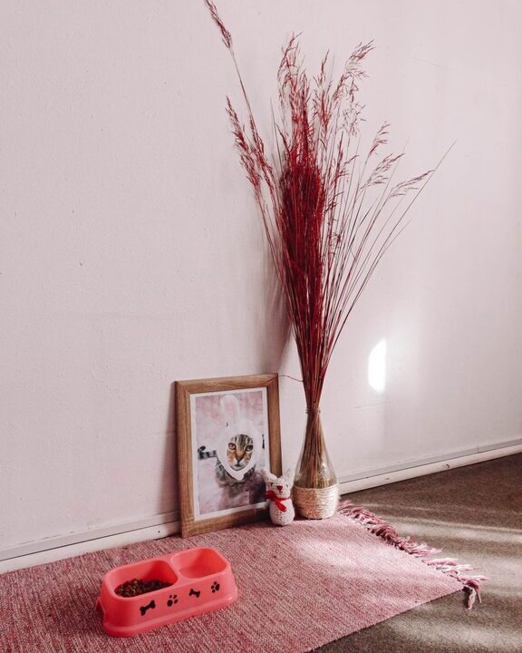 How to Create the Perfect Pet-Friendly Corner in Your Home